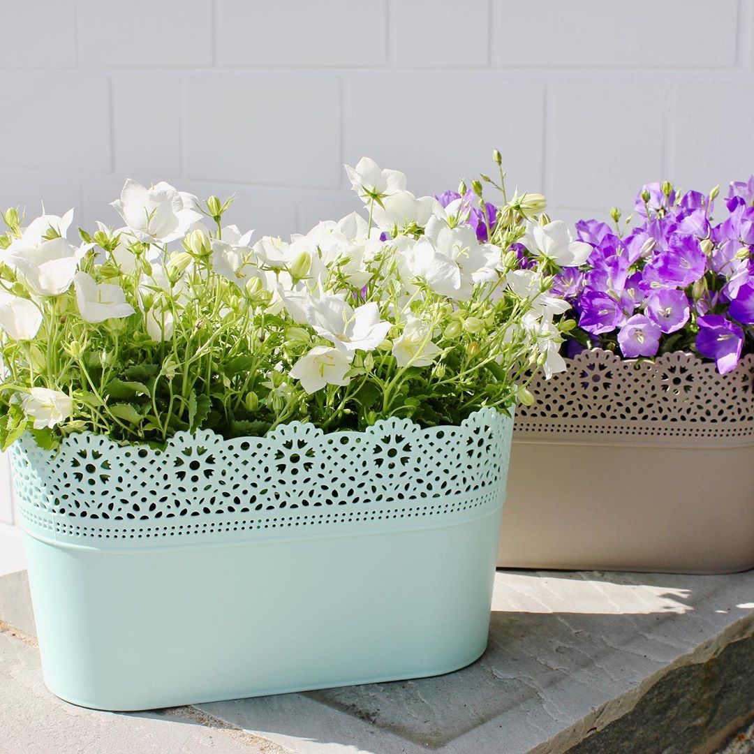 Gartendeko Zum Bepflanzen Schön Kennt Ihr Schon Unsere Ovalen Kunststoffblumentöpfe Mit