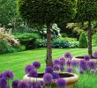 Gartendekoration Ideen Best Of English Garden with Lipop Yews and Allium Purple