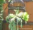 Gartendekoration Metall Elegant Classic Birdcage Hanging Basket Planter