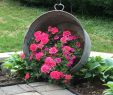 Gartendekoration Metall Schön Pin by Beverly Mills On Flowers