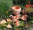 Gartendekoration Schön Broken Pot Garden Stock S & Broken Pot Garden Stock