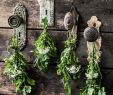 Gartendekoration Vintage Genial Dyi Herb Wreath soup Gift Tea Swags