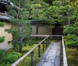 Gartendekoshop Frisch Bambus Im Zen Garten