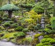 Gartendekoshop Inspirierend Bambus Im Zen Garten