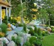 Gartendesign Einzigartig 70 Wundervolle Vorgärten Für Landschaft