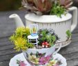 Gartendesign Frisch Amazing Diy Mini Fairy Garden Ideas for Miniature