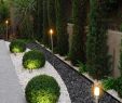 Gartendesign Neu Un Jard­n De Inspiraci³n oriental Jardines De Estilo De