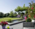 Gartendesigner Luxus Modernes Wasserbecken Hausgarten 6 Gartenplus