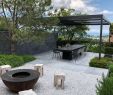 Gartendesigner Schön Terrace In Polished Concrete with Clipped Osmanthus