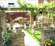 Gartenecke Gestalten Luxus Kleiner Reihenhausgarten Gestalten — Temobardz Home Blog