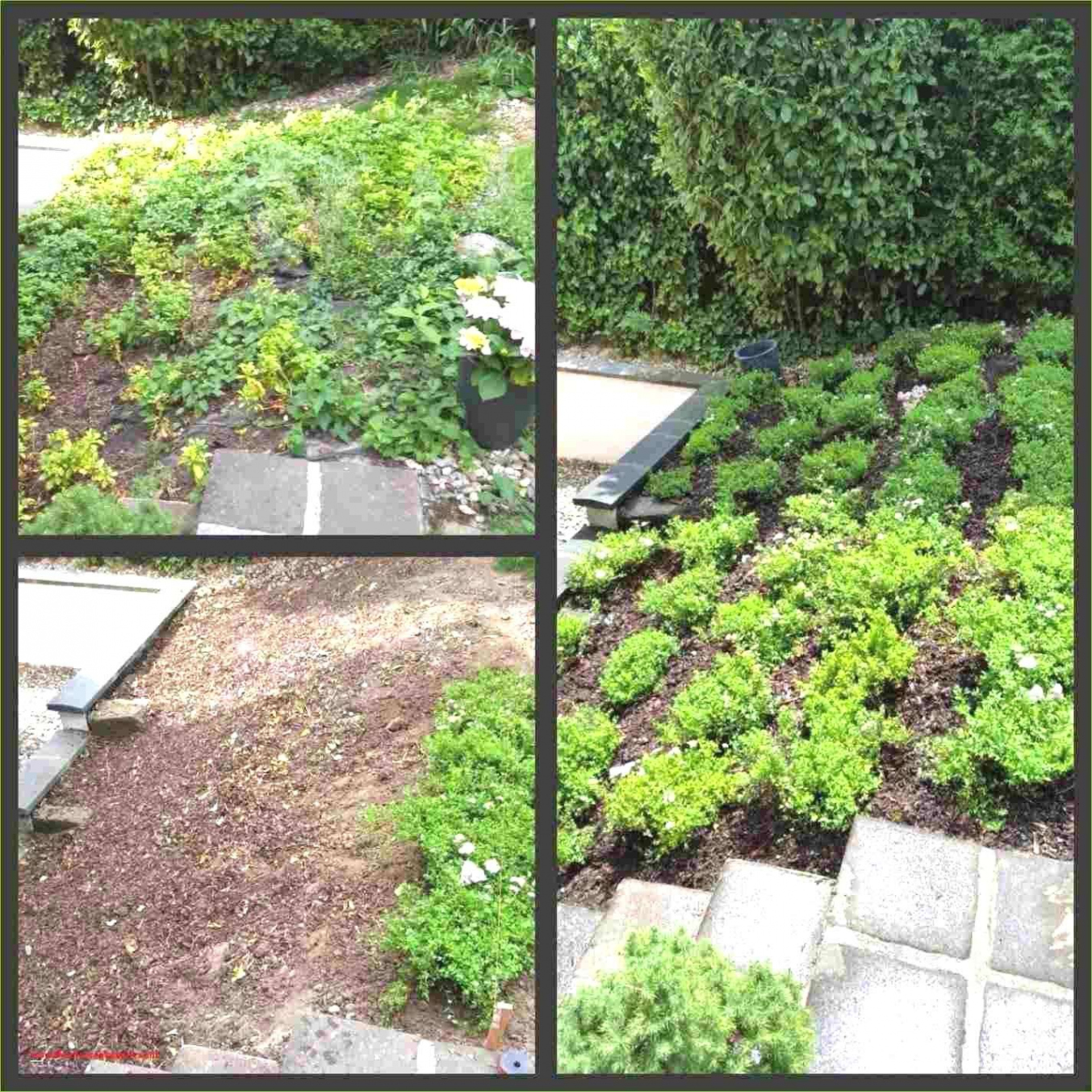 Gartenfiguren Aus Beton Selber Machen Luxus Gartendeko Selber Machen — Temobardz Home Blog