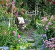 Gartenforum Best Of Pin by Adele Vercueil On Great Gardens and Ideas