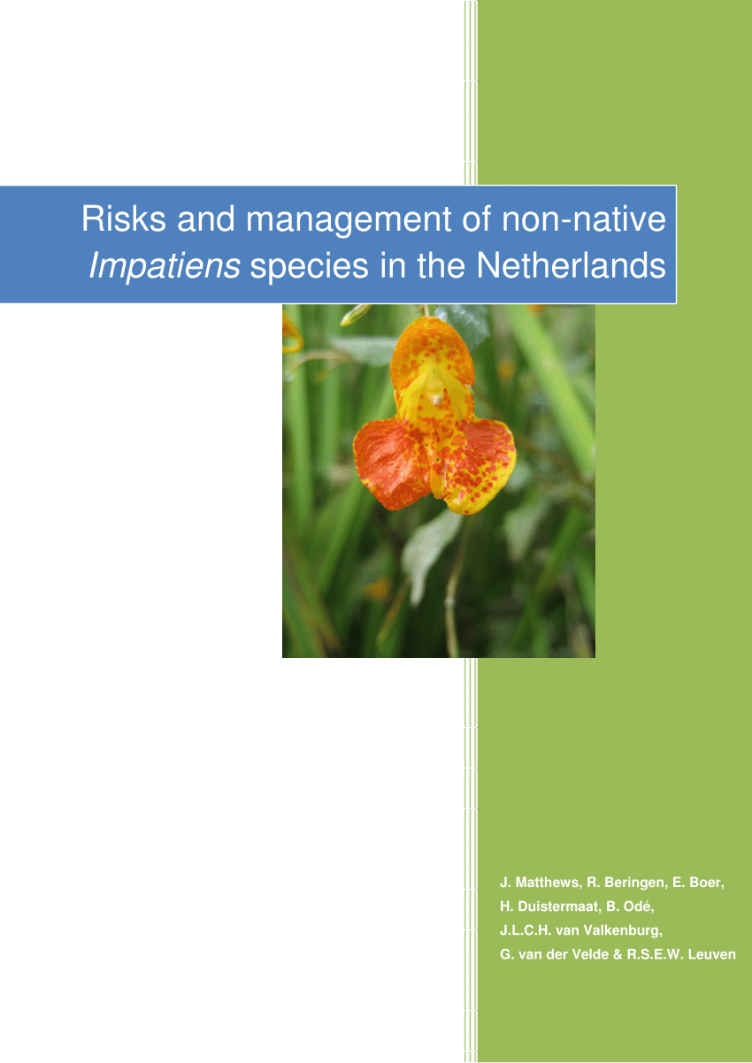 Gartenforum Luxus Pdf Risks and Management Of Non Native Impatiens Species In