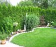Gartengestaltung Am Hang Frisch Hang Gestalten Pflegeleicht — Temobardz Home Blog