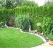 Gartengestaltung Beete Elegant Hang Gestalten Pflegeleicht — Temobardz Home Blog