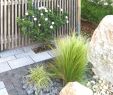 Gartengestaltung Beispiele Schön Landscaping with Rocks — Procura Home Blog