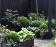 Gartengestaltung Einfach Neu Alten Garten Neu Anlegen — Temobardz Home Blog