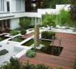 Gartengestaltung Großer Garten Neu Zimmerpflanzen Groß Modern — Temobardz Home Blog