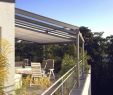 Gartengestaltung Günstig Elegant Terrasse Blickdicht Machen — Temobardz Home Blog