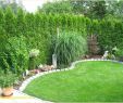 Gartengestaltung Ideen Günstig Genial Weißer Garten Pflanzplan — Temobardz Home Blog