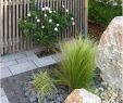Gartengestaltung Ideen Mit Steinen Elegant Gartengestaltung Ideen Mit Steinen — Temobardz Home Blog