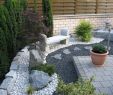 Gartengestaltung Kies Inspirierend Garten Modern Gestalten Mit Steinen