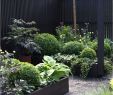 Gartengestaltung Kies Schön Grill Im Garten Gestalten — Temobardz Home Blog