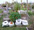 Gartengestaltung Kleine Gärten Beispiele Luxus Hintergründiges Zum Bioanbau 2013