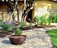 Gartengestaltung Mediterran Inspirierend Garten Anlegen Beispiele