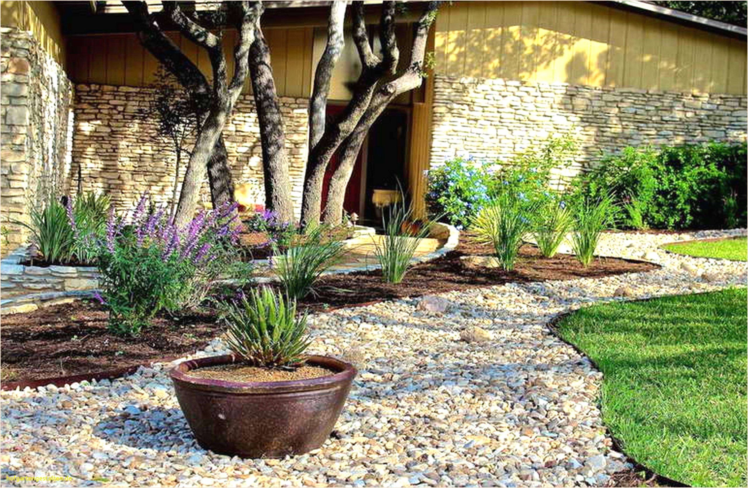 Gartengestaltung Mit Gabionen Genial Gabionen Gartengestaltung Bilder — Temobardz Home Blog