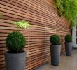 Gartengestaltung Mit Holz Schön Sichtschutz Und Luftiger Zaun In Eins Lamellenwand Aus