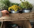 Gartengestaltung Mit Holzkisten Einzigartig Einzelteil] Iv Flaschenlager "urban Farming" Einzelteil