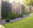 Gartengestaltung Mit Steinen Einzigartig 27 Reizend Hangsicherung Garten Luxus