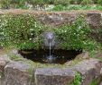 Gartengestaltung Mit Wasser Inspirierend Wasser Im Kleinen Garten