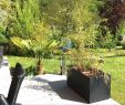 Gartengestaltung Mit Wasser Luxus 34 Inspirierend Garten Wassertank