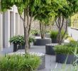 Gartengestaltung Modern Ideen Genial Grün Entspannt Augen Das Geschäftshaus Erlen In