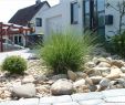 Gartengestaltung Modern Ideen Neu Landscaping with Rocks — Procura Home Blog