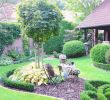 Gartengestaltung Ohne Rasen Elegant Alten Garten Neu Anlegen — Temobardz Home Blog