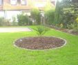 Gartengestaltung Ohne Rasen Inspirierend Alten Garten Neu Anlegen — Temobardz Home Blog