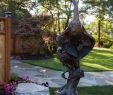 Gartengestaltung Ohne Rasen Schön Caswell Sculpture Garden