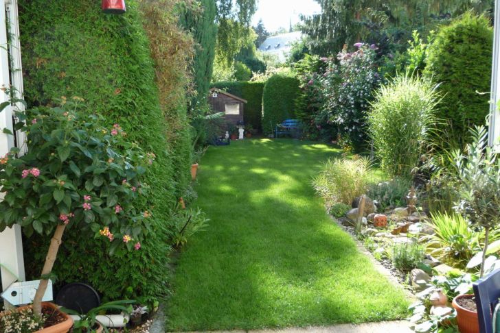 Gartengestaltung Pflanzen Luxus Pflanzen Garten Sichtschutz — Temobardz Home Blog