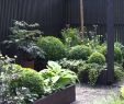 Gartengestaltung Pflegeleicht Inspirierend Vorgarten Gestalten nordseite — Temobardz Home Blog