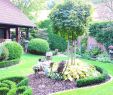 Gartengestaltung Pflegeleicht Schön 27 Reizend Hangsicherung Garten Luxus