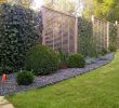 Gartengestaltung Sichtschutz Elegant Garten Pflanzen Sichtschutz — Temobardz Home Blog
