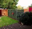Gartengestaltung Sichtschutz Inspirierend Baustelle Von Garten Bronder Hecke Am Laufenden Meter