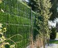 Gartengestaltung Sichtschutz Pflanzen Frisch Zaunblende Hellgrün "greenfences" Balkonblende Für 180cm
