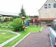 Gartengestaltung Steingarten Elegant Kiesgarten Anlegen Ideen — Temobardz Home Blog