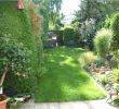 Gartengestaltung Steingarten Luxus Kiesgarten Anlegen Ideen — Temobardz Home Blog