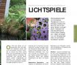 Gartengestaltungen Best Of Erscheinungsort Wien Verlagspostamt 1060 Wien P B B