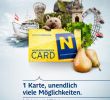 Gartengestaltungsideen Inspirierend Niederösterreich Card Katalog by Niederösterreich issuu